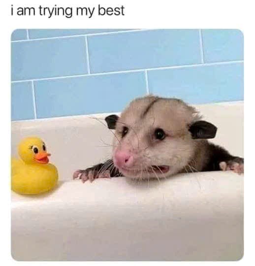 i am trying my best