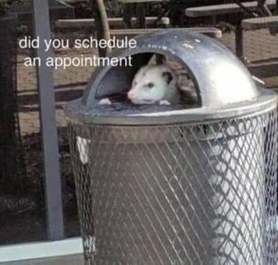 did you schedule an appointment