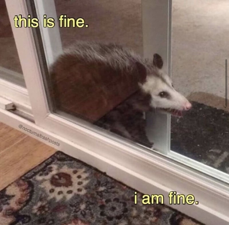 this is fine. @nocturnaltrashposts i am fine.