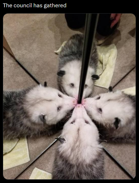 The council has gathered