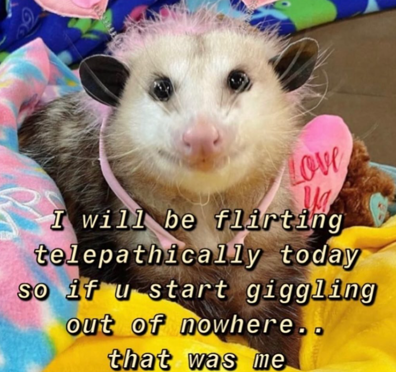 Love I will be flirting telepathically today So if u start giggling out of nowhere.. that was me
