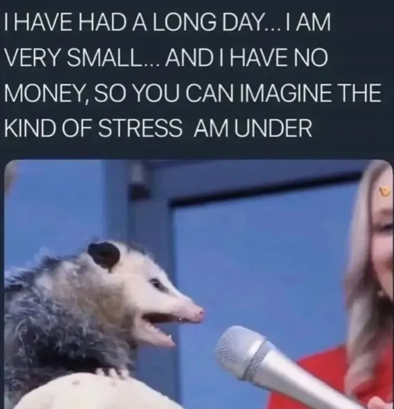 I HAVE HAD A LONG DAY...I AM VERY SMALL... AND I HAVE NO MONEY, SO YOU CAN IMAGINE THE KIND OF STRESS AM UNDER