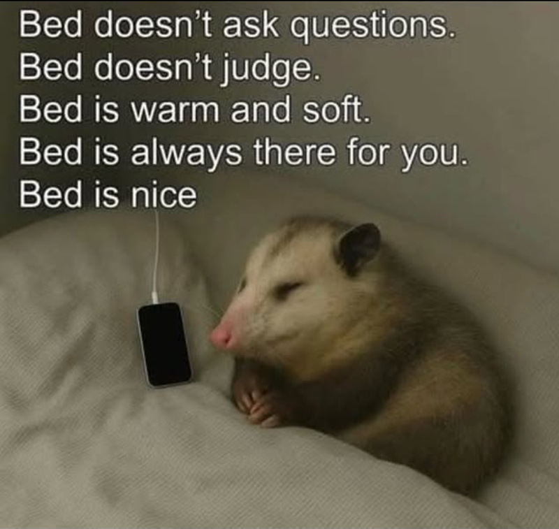 Bed doesn't ask questions. Bed doesn't judge. Bed is warm and soft. Bed is always there for you. Bed is nice