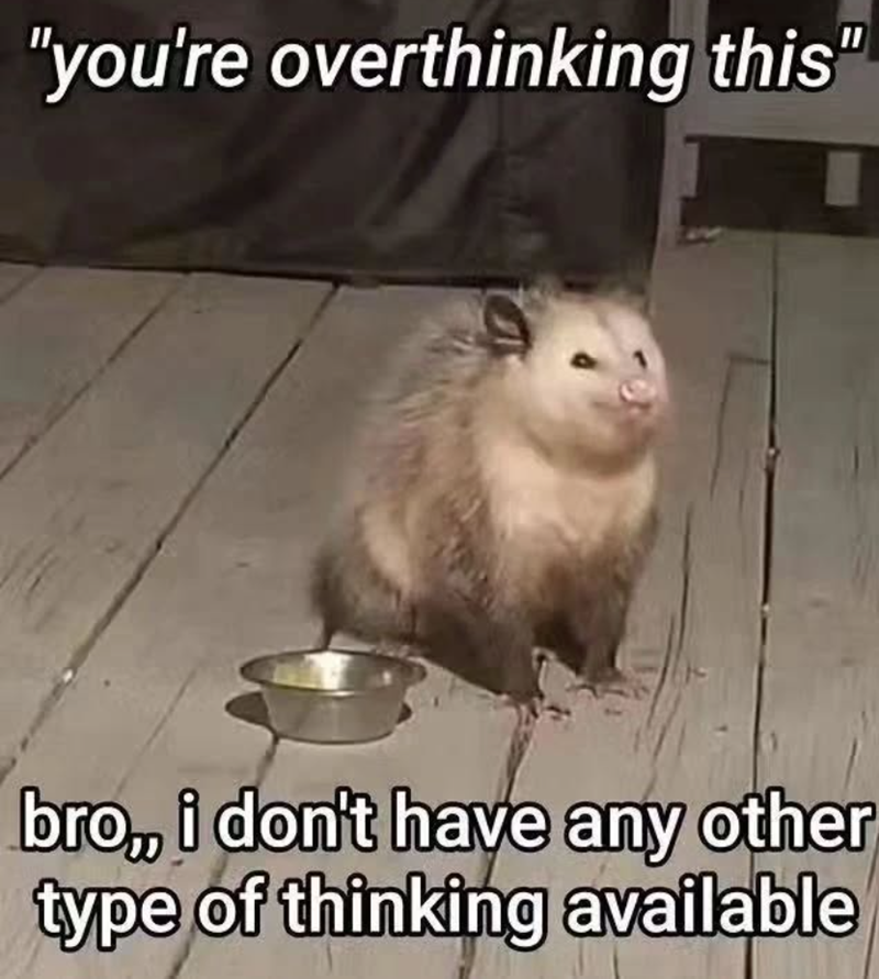 "you're overthinking this" bro,, i don't have any other type of thinking available