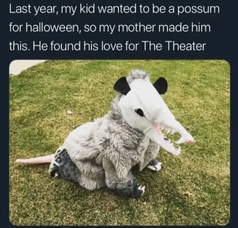 Last year, my kid wanted to be a possum for halloween, so my mother made him this. He found his love for The Theater