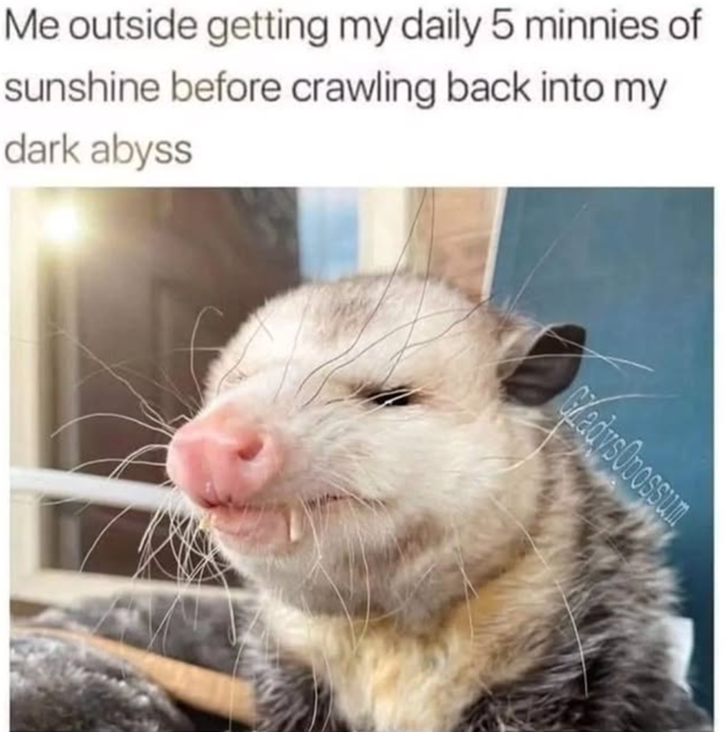 Me outside getting my daily 5 minnies of sunshine before crawling back into my dark abyss GladysOpossum