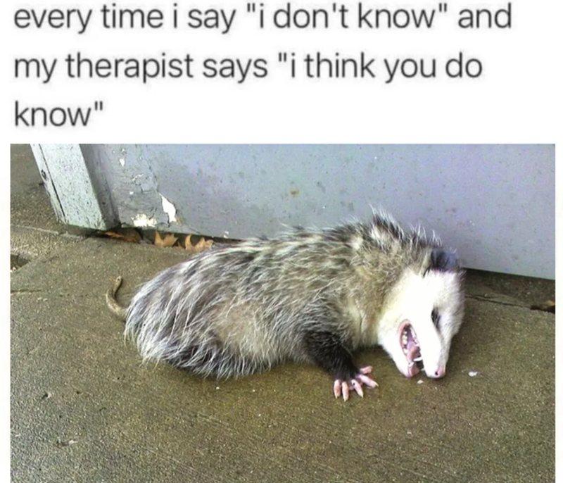 every time i say "i don't know" and my therapist says "i think you do know"