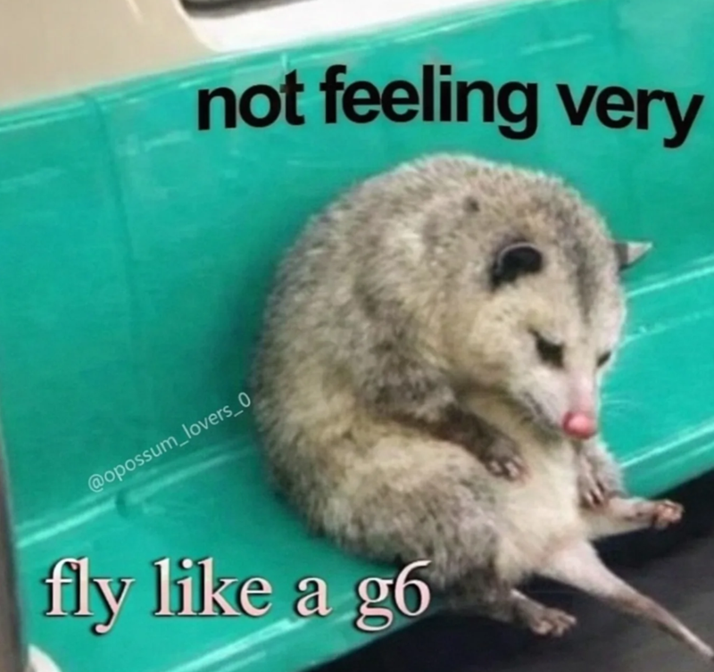 @opossum_lovers_0 not feeling very fly like a g6