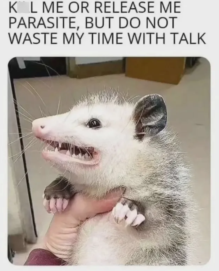 KL ME OR RELEASE ME PARASITE, BUT DO NOT WASTE MY TIME WITH TALK