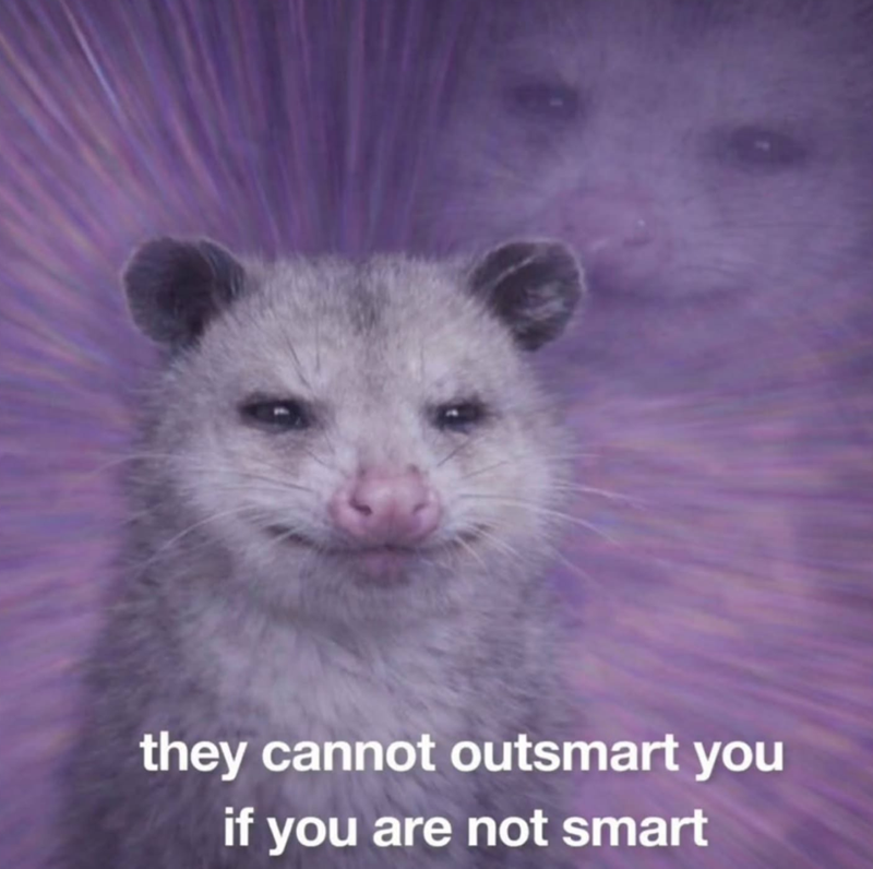 they cannot outsmart you if you are not smart