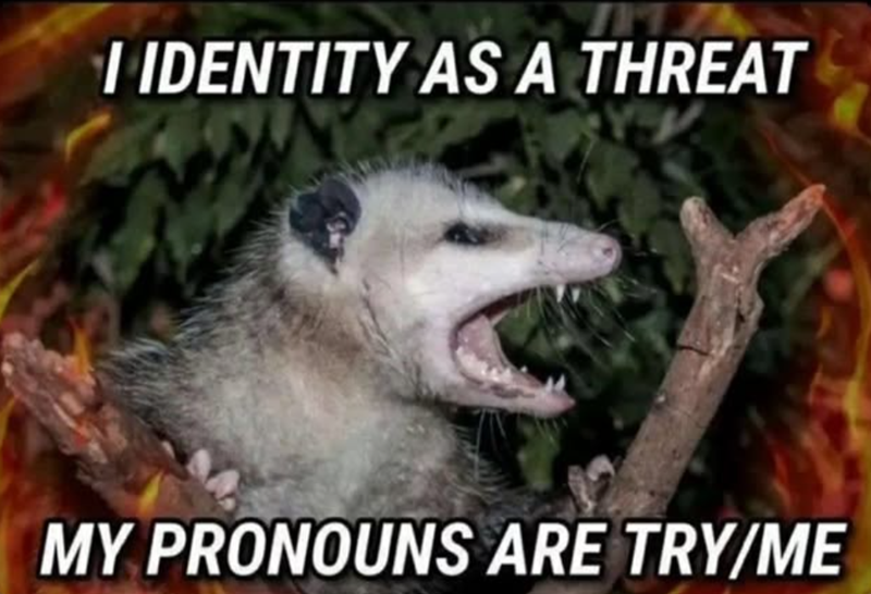 I IDENTITY AS A THREAT MY PRONOUNS ARE TRY/ME