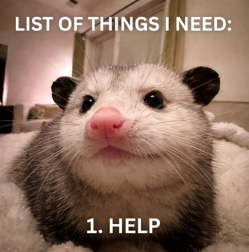 LIST OF THINGS I NEED: 1. HELP