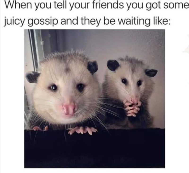 When you tell your friends you got some juicy gossip and they be waiting like: