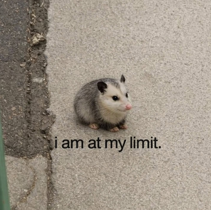 i am at my limit.