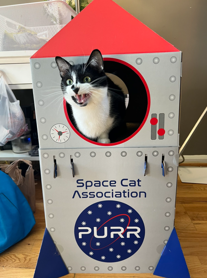 O O Space Cat Association * * PURR