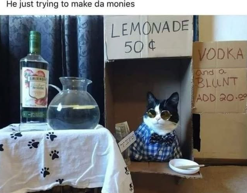 He just trying to make da monies LEMONADE 50¢ SMIRNE PS VODKA And a BLUNT ADD 20.00