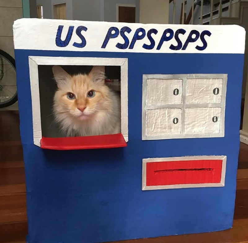 US PSPSPSPS 0 0