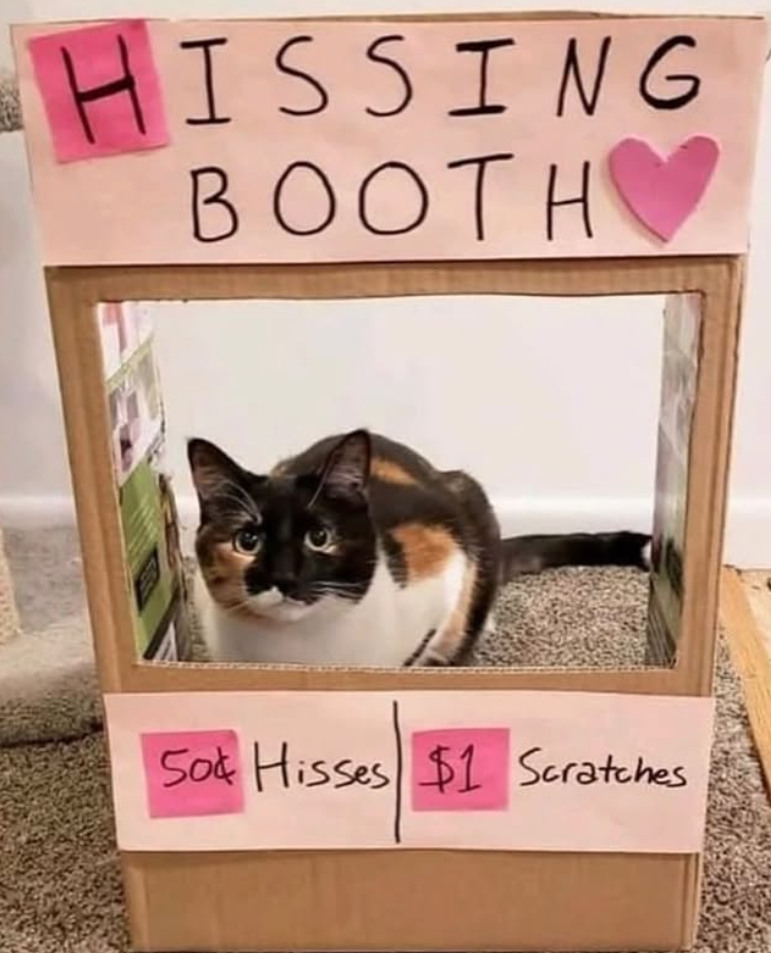 HISSING BOOTH Sot Hisses $1 Scratches