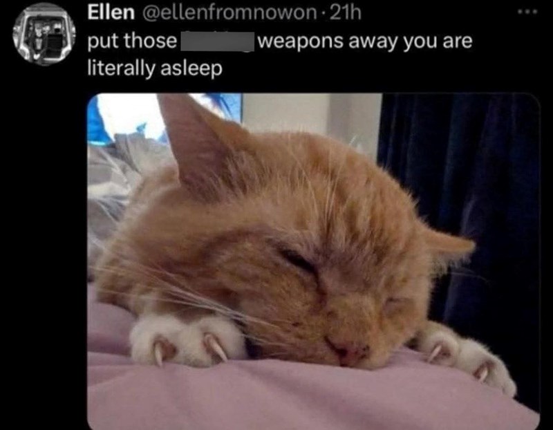 Ellen @ellenfrom nowon 21h put those literally asleep weapons away you are