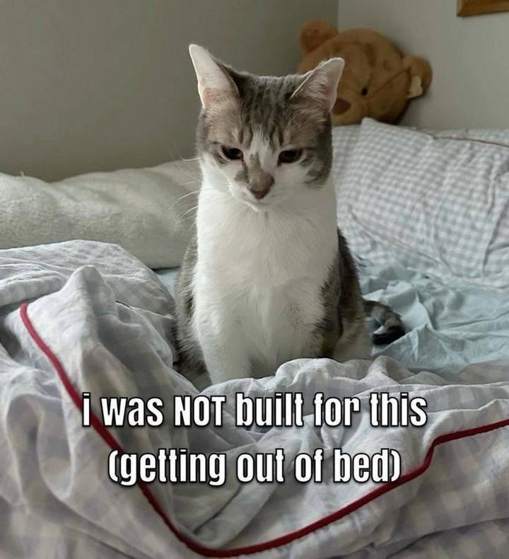 i was NOT built for this (getting out of bed)