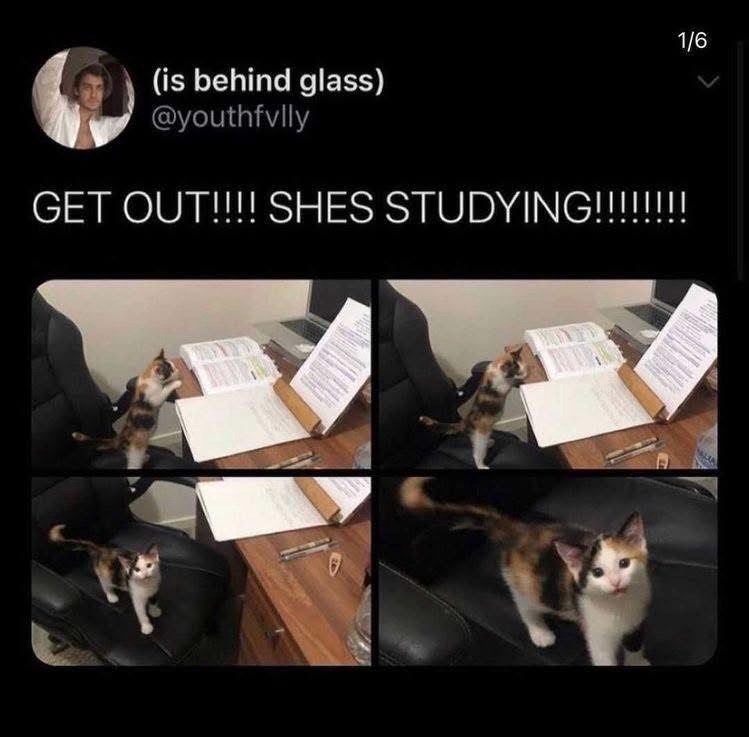 1/6 (is behind glass) @youthfvlly GET OUT!!!! SHES STUDYING!!!!!!!!!