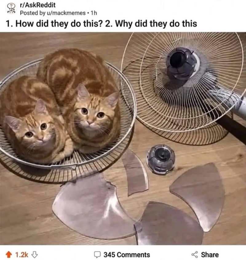 r/AskReddit . Posted by u/mackmemes • 1h 1. How did they do this? 2. Why did they do this 1.2k 345 Comments Share