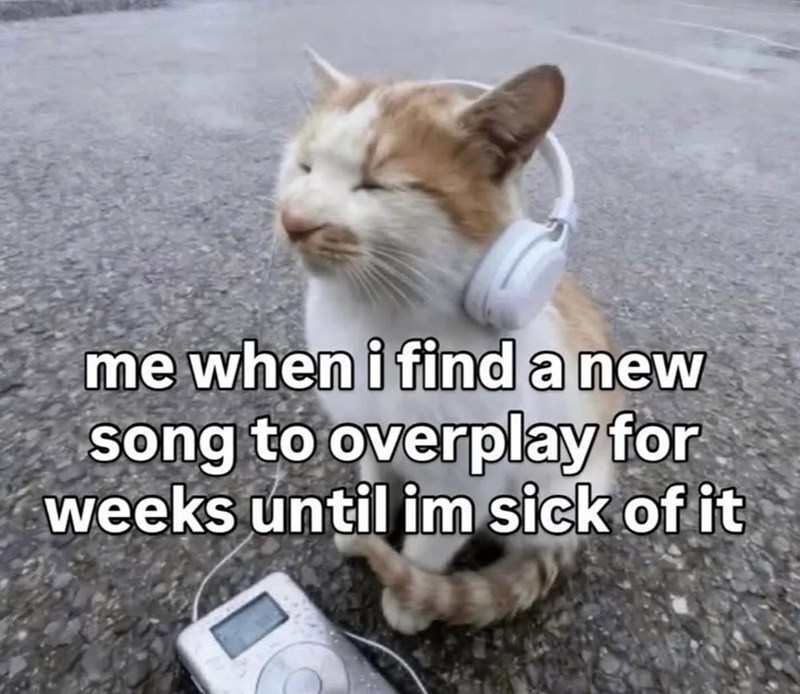 me when i find a new song to overplay for weeks until im sick of it