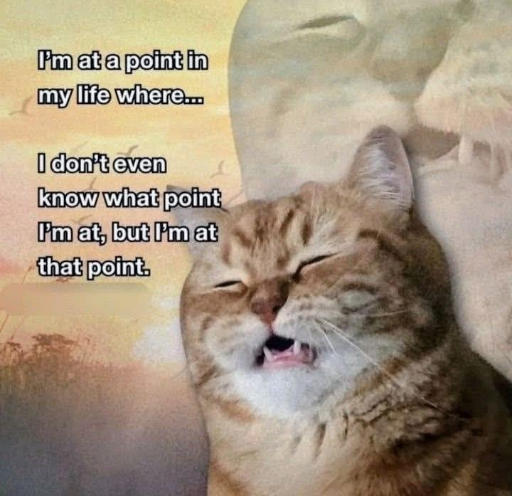 I'm at a point in my life where... I don't even know what point I'm at, but I'm at that point.