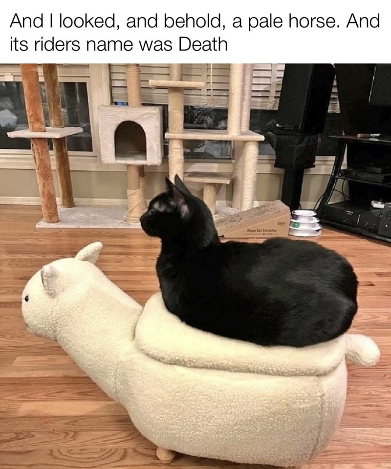 And I looked, and behold, a pale horse. And its riders name was Death Slope Cal Sucher fesy