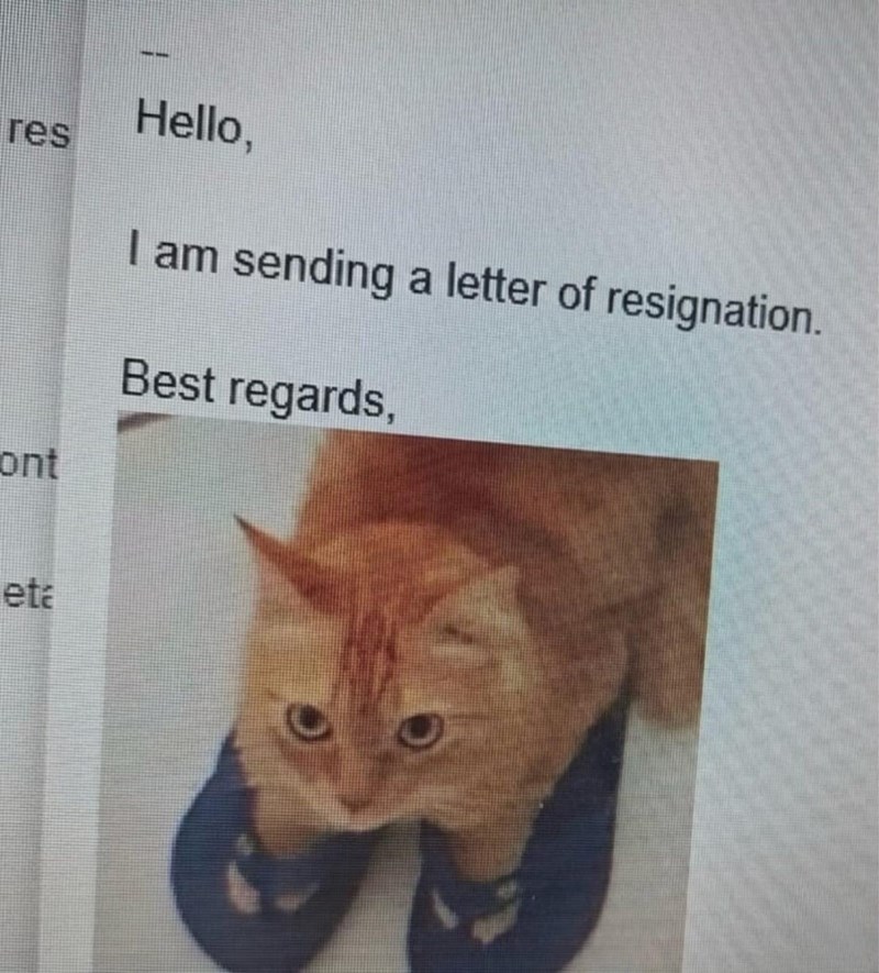 res ont eta Hello, I am sending a letter of resignation. Best regards,