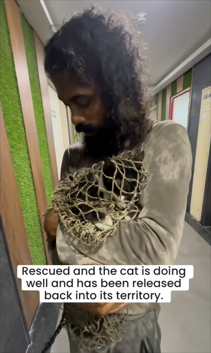 Rescued and the cat is doing well and has been released back into its territory. JOB N