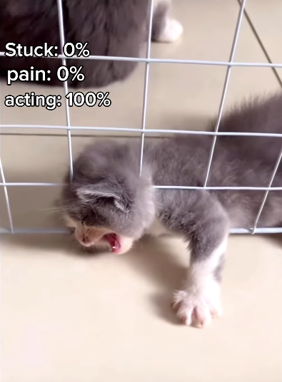 Stuck: 0% pain: 0% acting: 100%