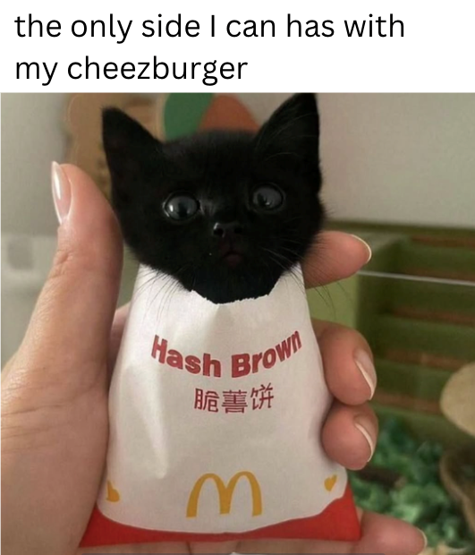 the only side I can has with my cheezburger Hash Brown 脆薯饼 M