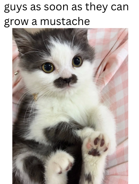 guys as soon as they can grow a mustache