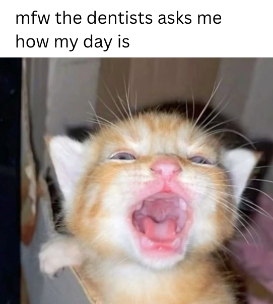 mfw the dentists asks me how my day is