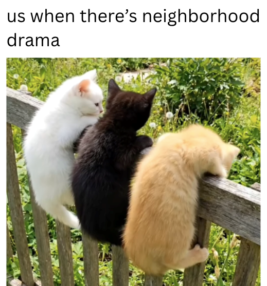 us when there's neighborhood drama
