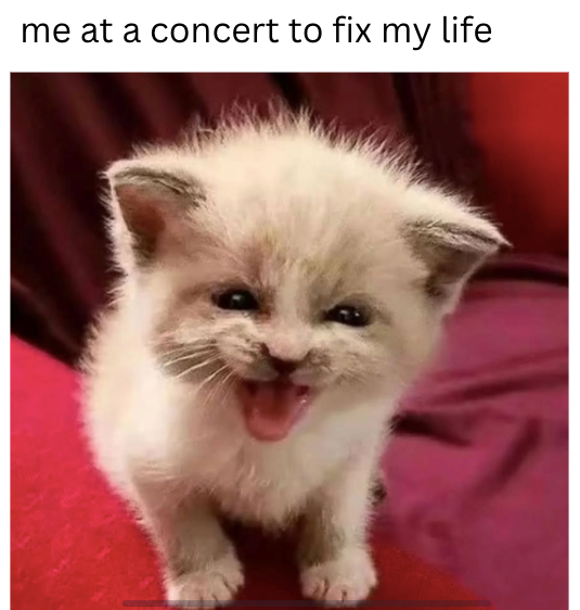 me at a concert to fix my life