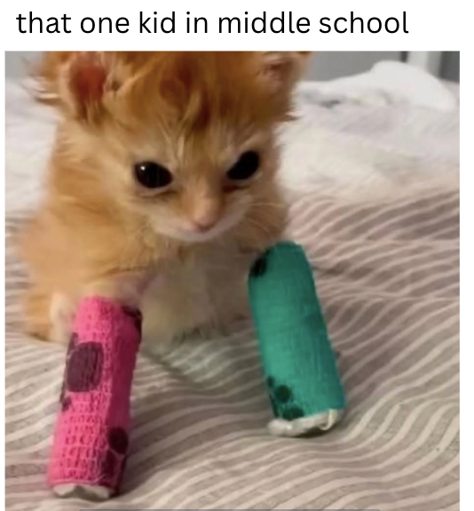 that one kid in middle school