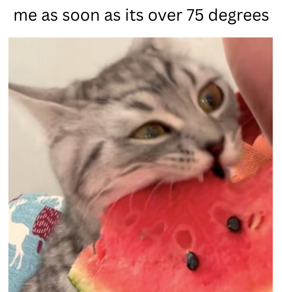 me as soon as its over 75 degrees 0
