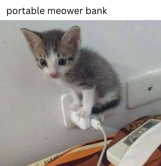 portable meower bank LOUIS