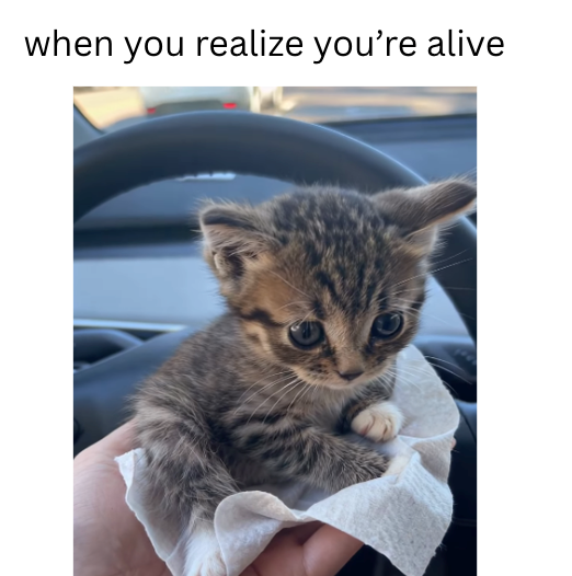when you realize you're alive