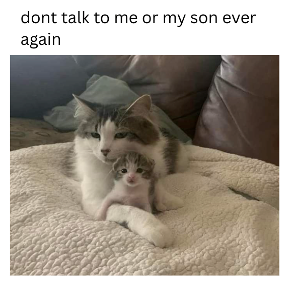 dont talk to me or my son ever again