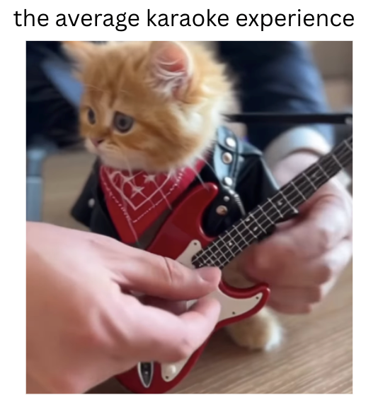 the average karaoke experience