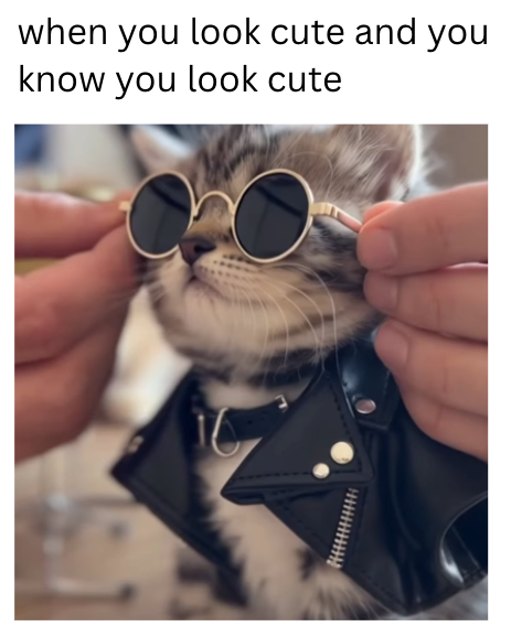 when you look cute and you know you look cute