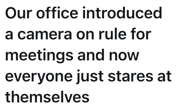 Our office introduced a camera on rule for meetings and now everyone just stares at themselves