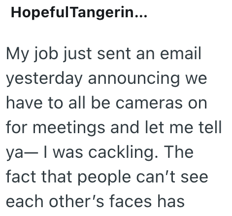 HopefulTangerin... My job just sent an email yesterday announcing we have to all be cameras on for meetings and let me tell ya-I was cackling. The fact that people can't see each other's faces has