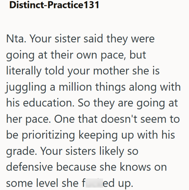 Distinct-Practice131 Nta. Your sister said they were going at their own pace, but literally told your mother she is juggling a million things along with his education. So they are going at her pace. One that doesn't seem to be prioritizing keeping up with his grade. Your sisters likely so defensive because she knows on some level she f ed up.