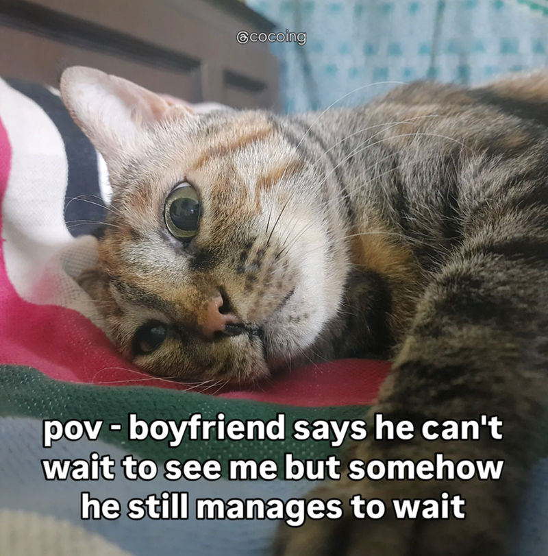 @cocoing pov - boyfriend says he can't wait to see me but somehow he still manages to wait