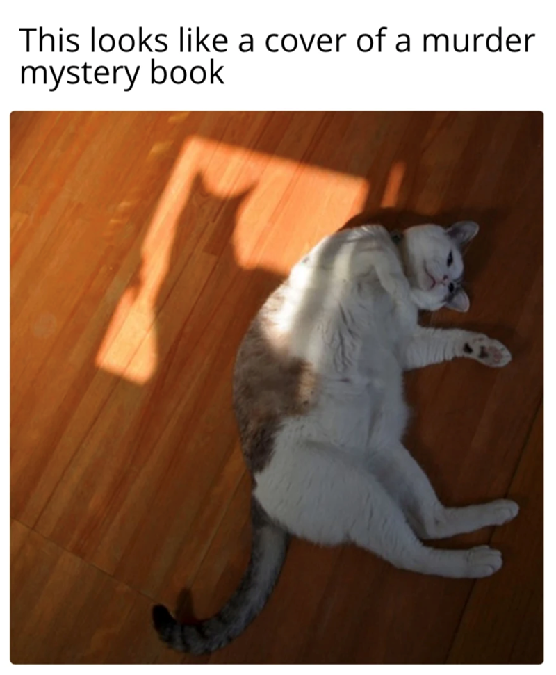 This looks like a cover of a murder mystery book