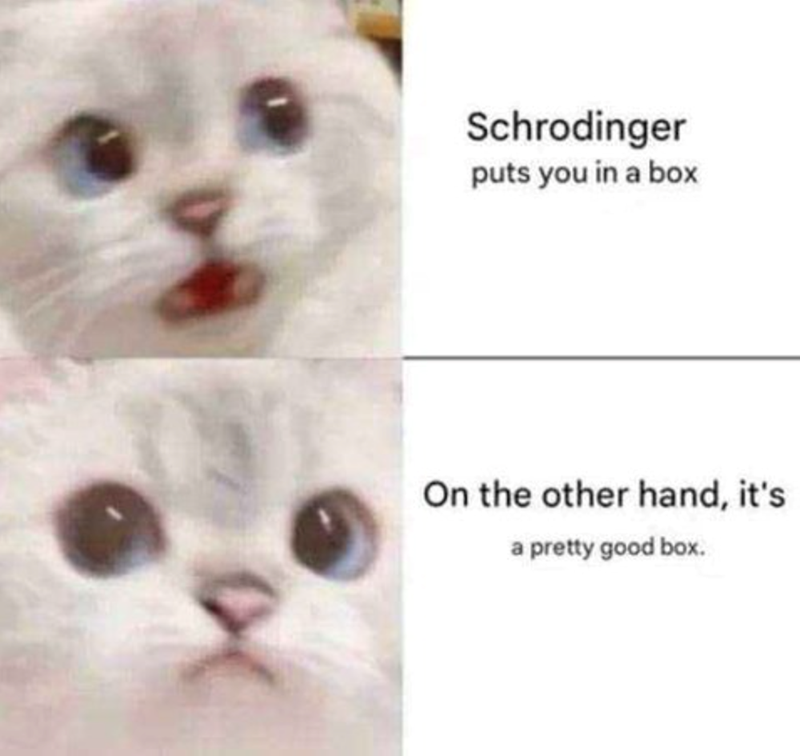 Schrodinger puts you in a box On the other hand, it's a pretty good box.